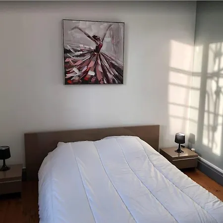 Apartamento Le Joyau Cache - Superbe Equipe Centre Proche Gare Et Thermes - Cures Vichy