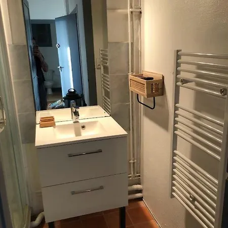 Le Joyau Cache - Superbe Equipe Centre Proche Gare Et Thermes - Cures Apartamento *